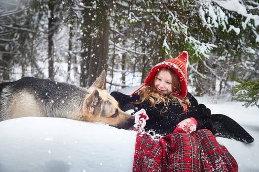 Cute little girl in red cap or hat and black coat with basket of green fir branches in snow forest and big dog shepherd looking as wolf on cold winter day. Fun and fairytale on photo shoot