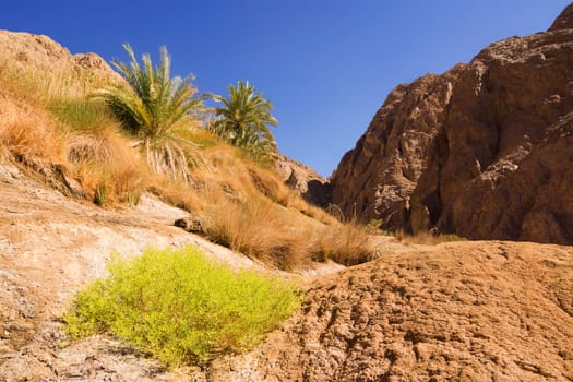 Wadi Qnain