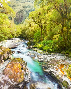 The Chasm (Fiordland, South Island, New Zealand)