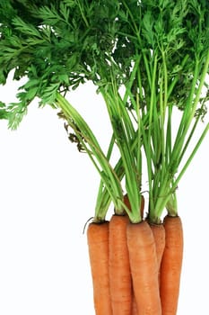 Carrots are displayed.