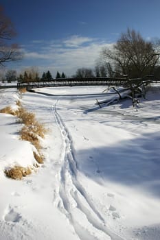 A narrow path left by a single cross-country skier.
