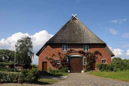 Thatched roof house