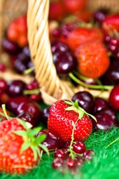 Basket of fruits