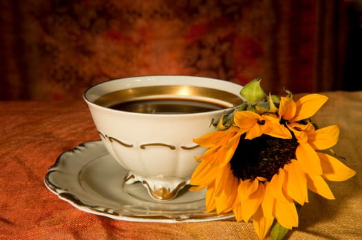 cup of coffee and sunflower colored background