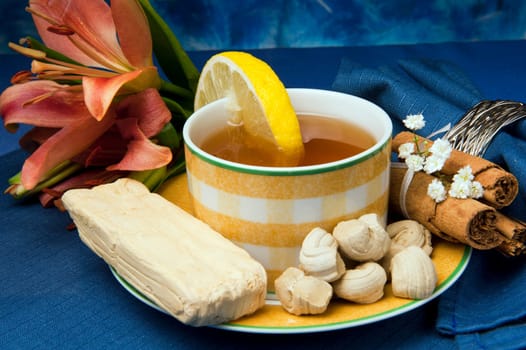 traditional dessert of Ecuador on colored background