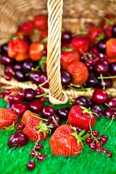 Basket of fruits