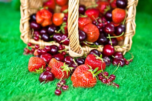 Basket of fruits