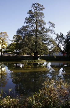 The Menteteich in Alverdissen