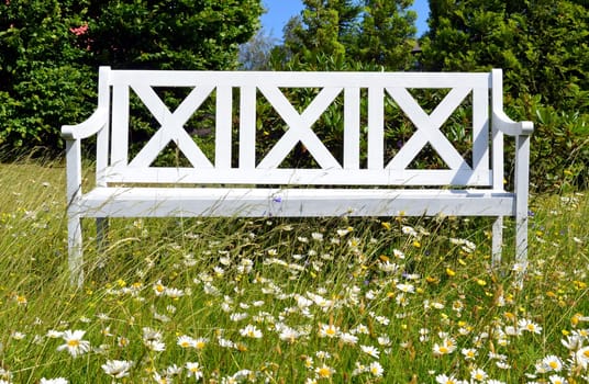White garden bench on a flower meadow