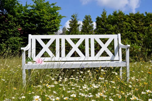 White garden bench on a flower meadow