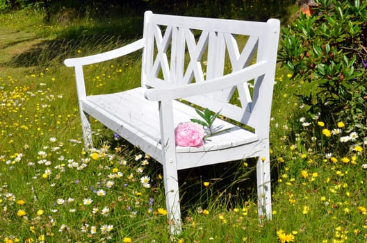 White garden bench on a flower meadow