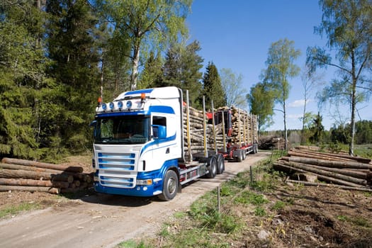 Truck with timber in the forest