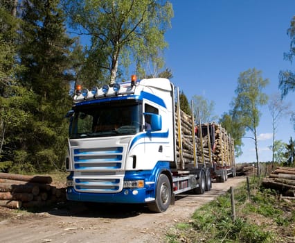 Truck with timber in the forest