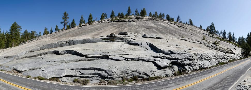 overview of firs on the rocks in Yosemite National Park in California in America