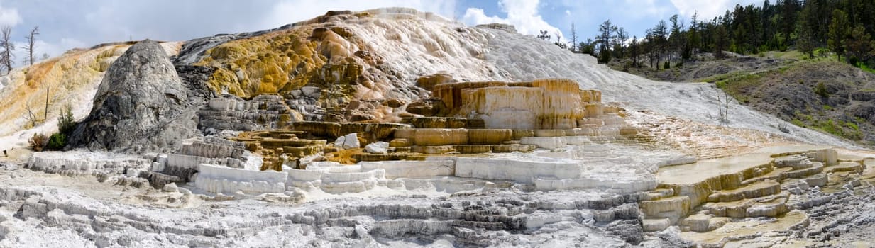 Overview Mammoth Hot Springs in Yellowstone National Park in Wyoming in America