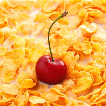 Breakfast Background, Cereal with cherry fruit close up