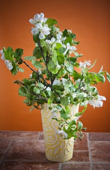 Beautiful branches of a blossoming apple-tree in a vase