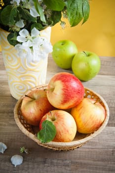 Beautiful ripe apples and branches of a blossoming apple-tree in a vase