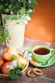 Beautiful ripe apples and branches of a blossoming apple-tree in a vase