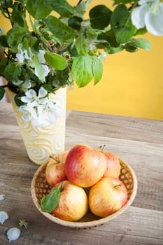 Beautiful ripe apples and branches of a blossoming apple-tree in a vase
