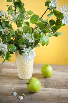 Beautiful ripe apples and branches of a blossoming apple-tree in a vase