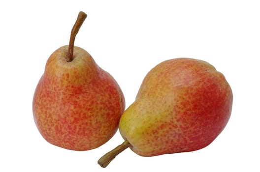 Two pears isolated on a white background