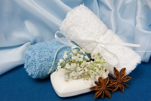 natural products for body care on colored background