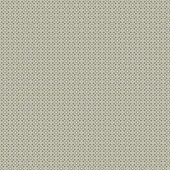 the vintage shabby background with classy patterns