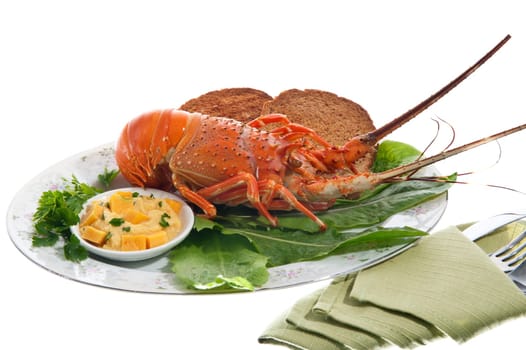 lobsters and crayfish sauce on colored background