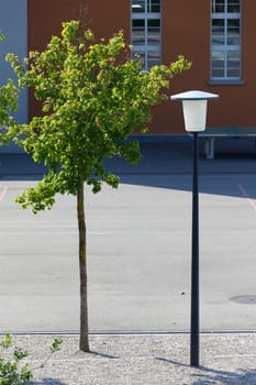 Nature versus technology