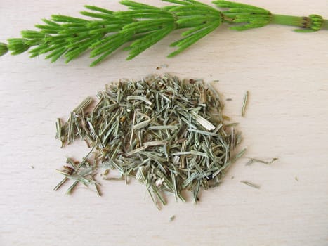 Horsetail herb,Equiseti herba