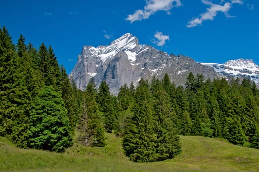 Wetterhorn