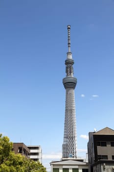 A radio/television broadcast and communications tower