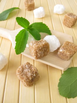 Stevia and sugar cubes