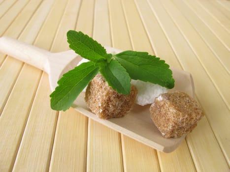 Stevia and sugar cubes