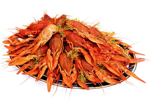 It&#039 s a Swedish tradition to eat dill cooked crayfish in August.