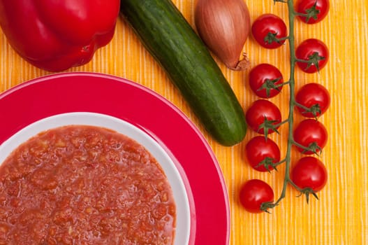 Cold Spanish Gazpacho - Vegetable Soup