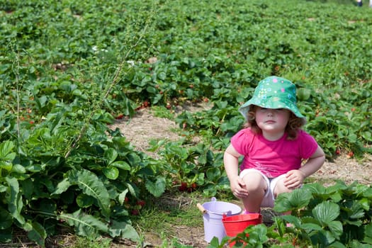 Toddler squatting in strawberry field with two small tin buckets