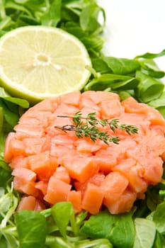 salmon tartare with fresh salad and lemon slice