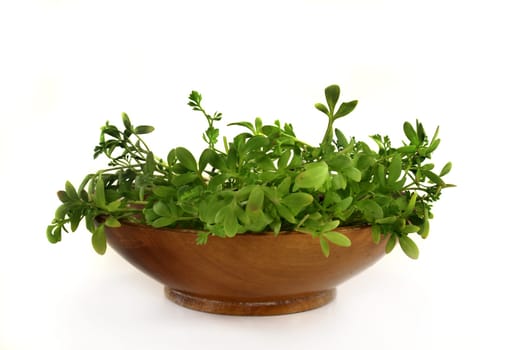 fresh garden cress in a wooden bowl
