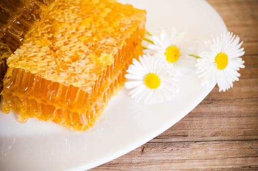 honeycomb with daisies on white plate
