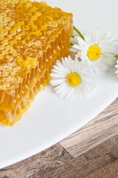 honeycomb with daisies on white plate