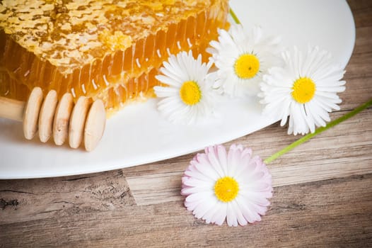 honeycomb with daisies on white plate