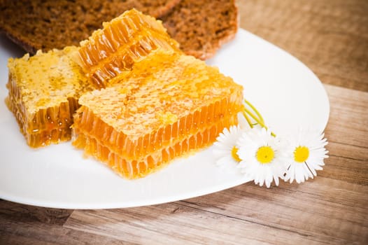 honeycomb with daisies on white plate