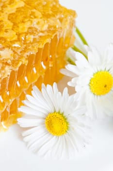 honeycomb with daisies on white plate