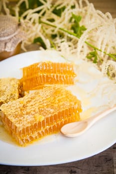 honeycomb with daisies on white plate