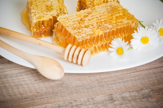honeycomb with daisies on white plate