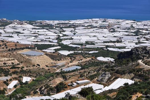 Greenhouses in Crete