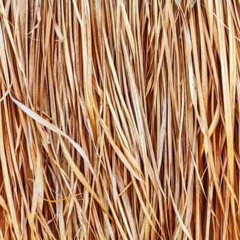 Background. Closeup of the straw