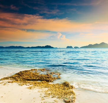 Beautiful seascape. Seaweed on the foreground. Philippines